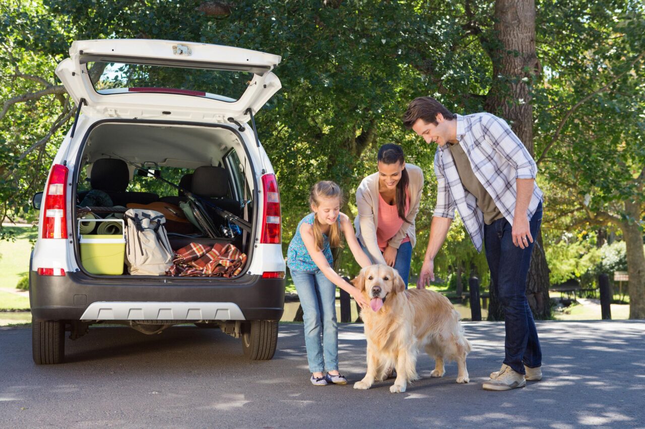 Trasporto animali domestici in auto e moto: le norme che lo regolano